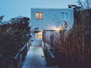 Henectus tincidunt - Image 2